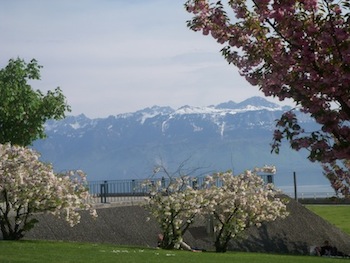 alps.jpg