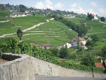 dscn1783.jpg