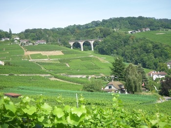 dscn1784.jpg
