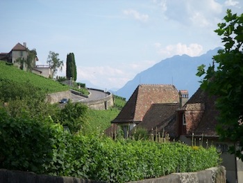 dscn1804.jpg