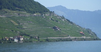 lavaux_crop_3.jpg